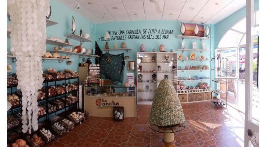 Galeria La Concha Galeria La Concha
